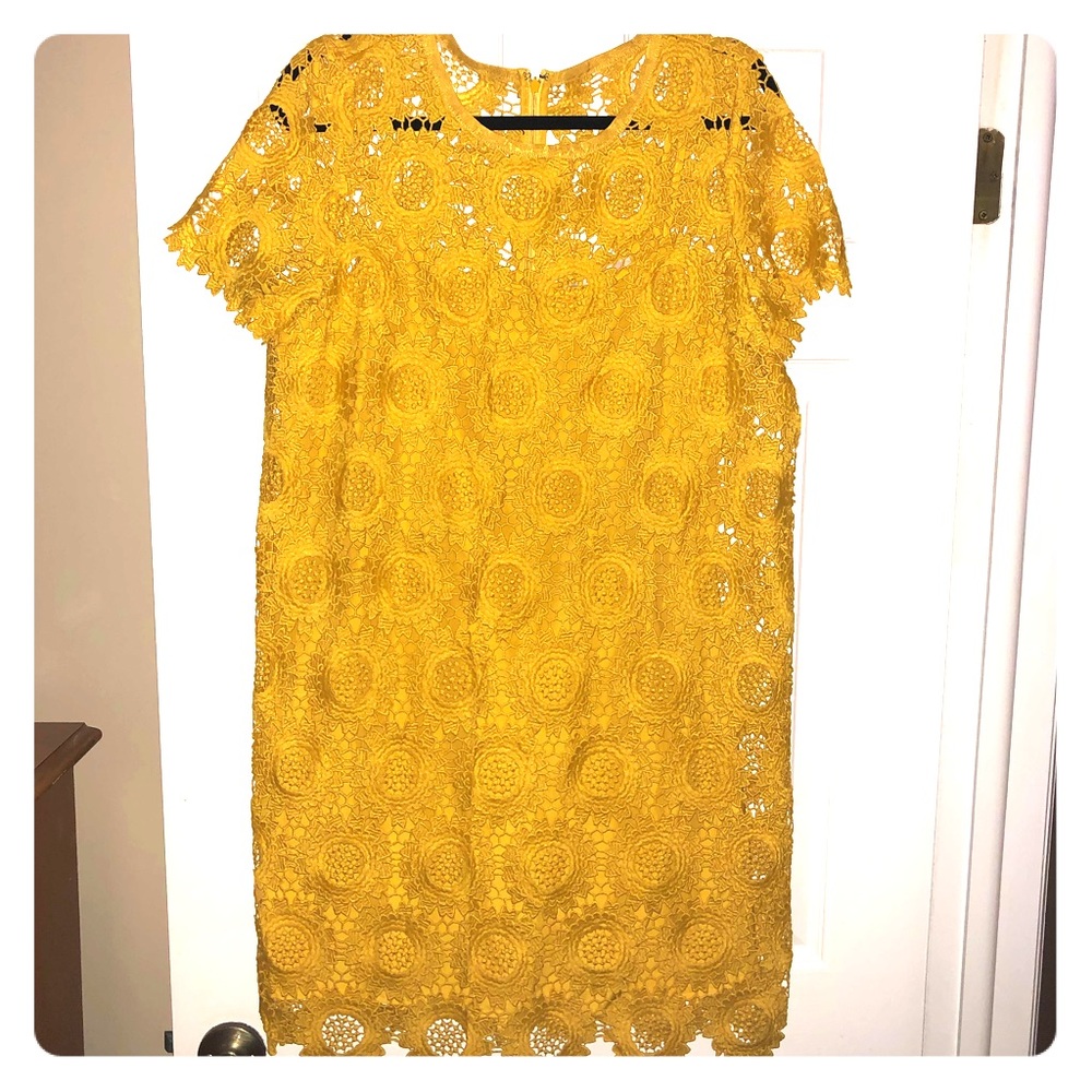 LOFT yellow flower lace dress